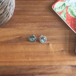 Blue/Green Earrings